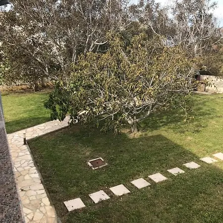 Mirjana Appartement